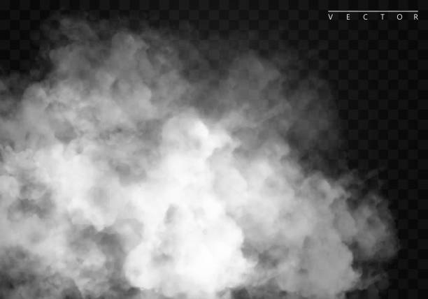 ilustrações, clipart, desenhos animados e ícones de neblina ou fumo efeito isolado de especial transparente. de fundo branco vector nebulosidade, névoa ou poluição atmosférica. - smog pollution environment toxic waste