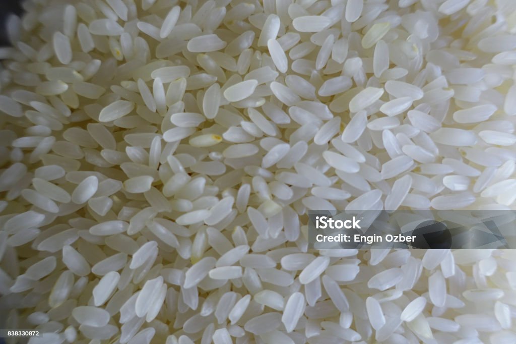 rice Rice, Grain Dry Stock Photo