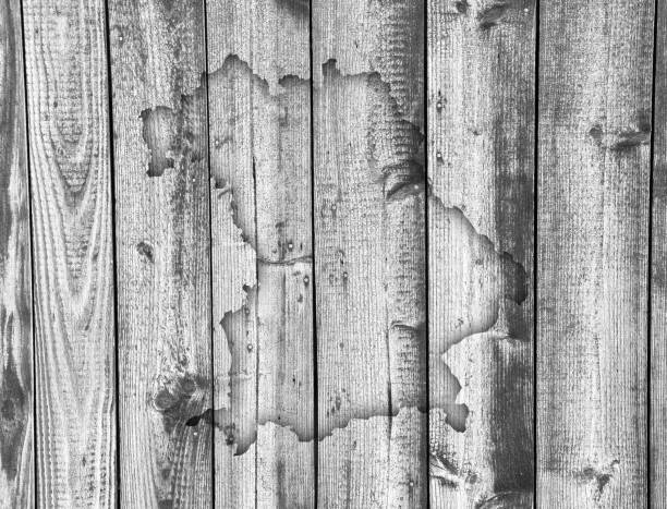 istock Map of Bavaria on weathered wood 838331976