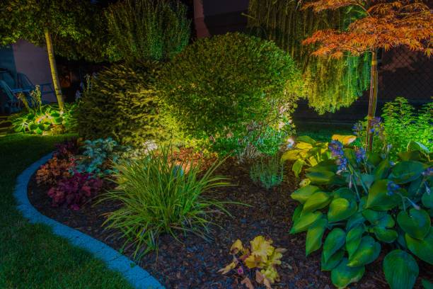 istock Elegant Garden Illumination 838343904