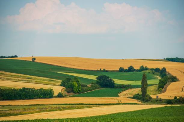 istock Scenic Agriculture Landscape 838361492
