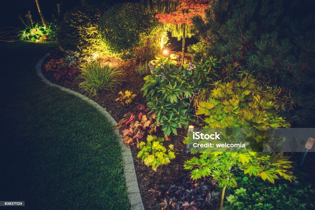 Illuminated Backyard Garden Illuminated Backyard Garden. Night Time Photo. Outdoor Garden Lighting. Illuminated Stock Photo