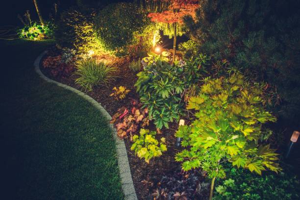 Illuminated Backyard Garden Illuminated Backyard Garden. Night Time Photo. Outdoor Garden Lighting. landscape lighting stock pictures, royalty-free photos & images