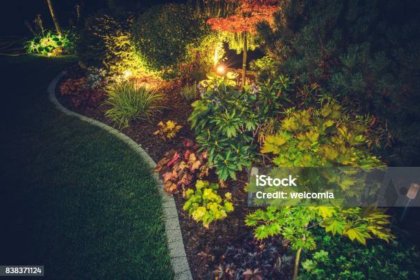 Illuminated Backyard Garden Stock Photo - Download Image Now - Illuminated, Landscape - Scenery, Yard - Grounds