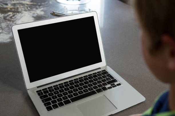 istock Cropped image of boy looking into laptop 838371504