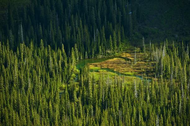 istock Montana Forest and Lakes 838373208