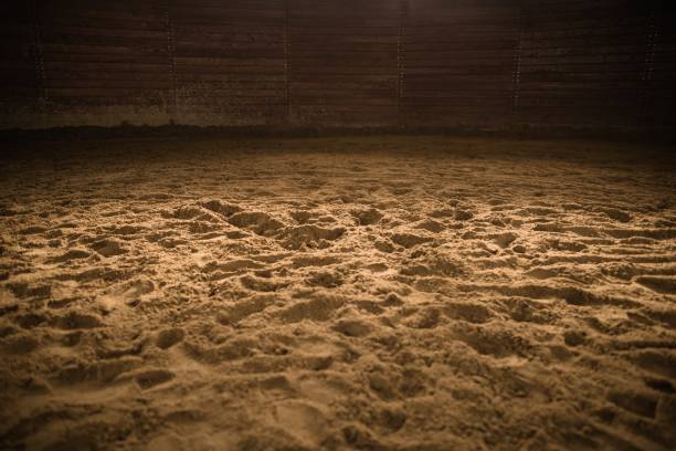 arena di equitazione sabbiosa - rodeo foto e immagini stock