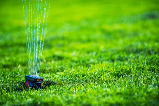 istock Garden Grass Field Sprinkler 838387366