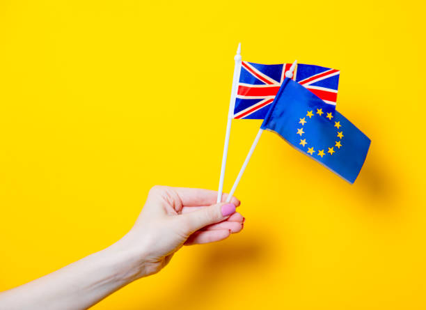 istock Female hand holding EU and Great Britain flags 838398638