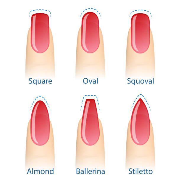 Set Of Nails Shapes Stock Illustration - Download Image Now - Fingernail,  Shape, Toenail - iStock