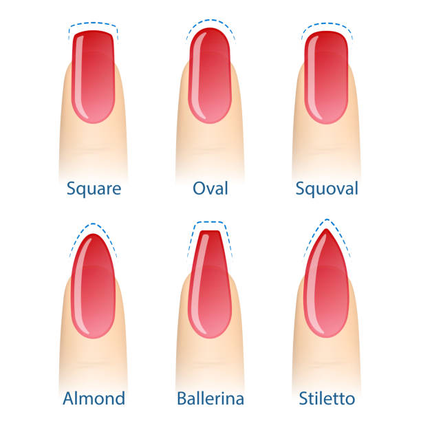 Set Of Nails Shapes Stock Illustration - Download Image Now - Fingernail, Shape, Toenail - iStock Set Of Nails Shapes Stock Illustration - Download Image Now - Fingernail, Shape, Toenail - iStock