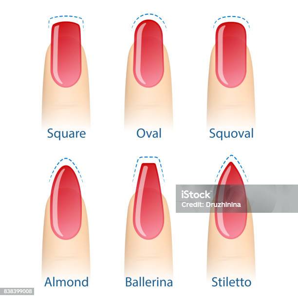Set Of Nails Shapes Stock Illustration - Download Image Now - Fingernail,  Shape, Toenail - iStock