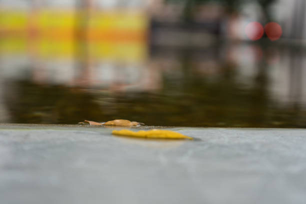 istock yellow leaf on grey concrete in front of water 838399012