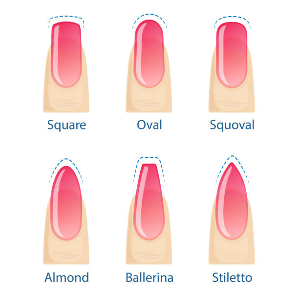 zestaw kształtów paznokci - toenail stock illustrations