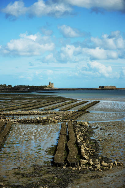 istock Normandy Saint-Vaast-la-Hougue oyster park 838399660