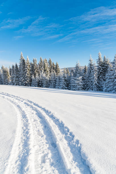 istock Winter road on sunny day in Beskid Sadecki Mountains, Poland 838402192