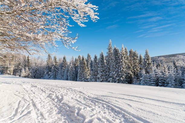 winter road in beskid sadecki mountains on sunny day, poland - nowy sacz imagens e fotografias de stock