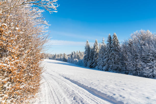 istock Winter road on sunny day in Beskid Sadecki Mountains, Poland 838402342