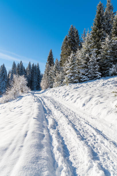 istock Winter path in Beskid Sadecki Mountains on sunny day, Poland 838402472