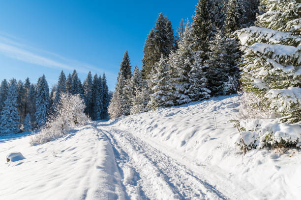 istock Winter path in Beskid Sadecki Mountains on sunny day, Poland 838402486