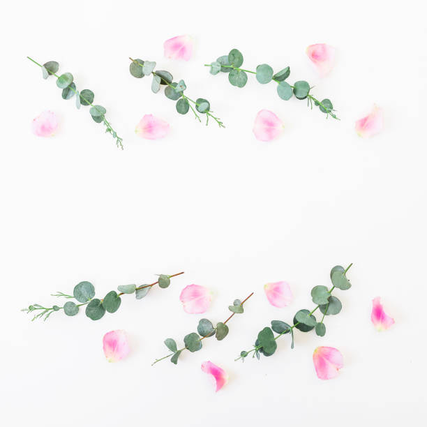 istock Composition of pink petals and eucalyptus on white background. Flat lay, top view. Valentine's background. 838402666