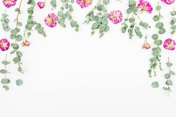 istock Frame of pink roses and eucalyptus on white background. Flat lay, top view 838402680