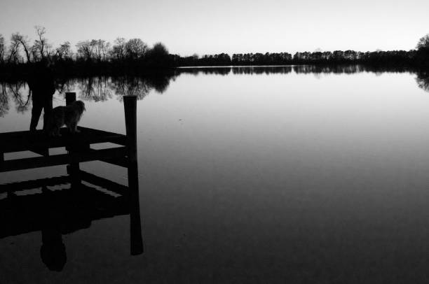 istock Black and White Reflections Tree Dock Creek Dog Human 838402742