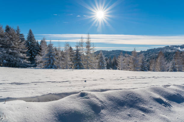 istock Winter in Beskid Sadecki Mountains on sunny day, Poland 838405658