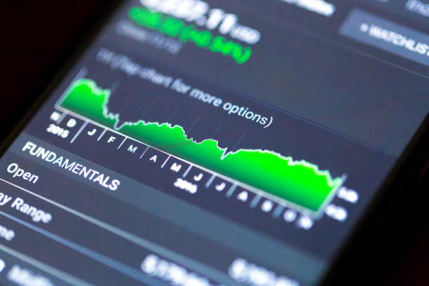 istock Stock Exchange Chart on Smart Phone 838406240