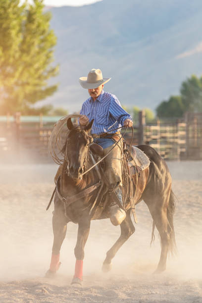istock Cowboy with lasso riding in rodeo arena 838410504