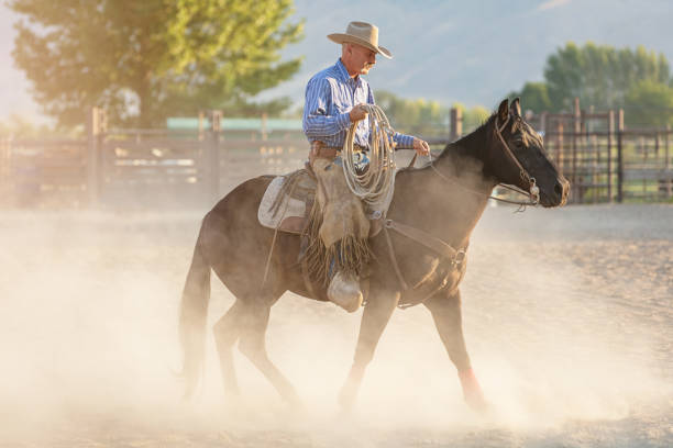 istock Cowboy Riding Rodeo Arena 838410556