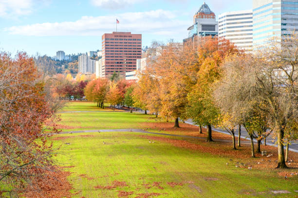 istock Portland city skyline at autumn 838416992