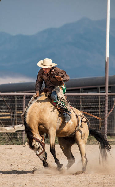 istock wild west rodeo cowboy on bucking bronco horse 838417476