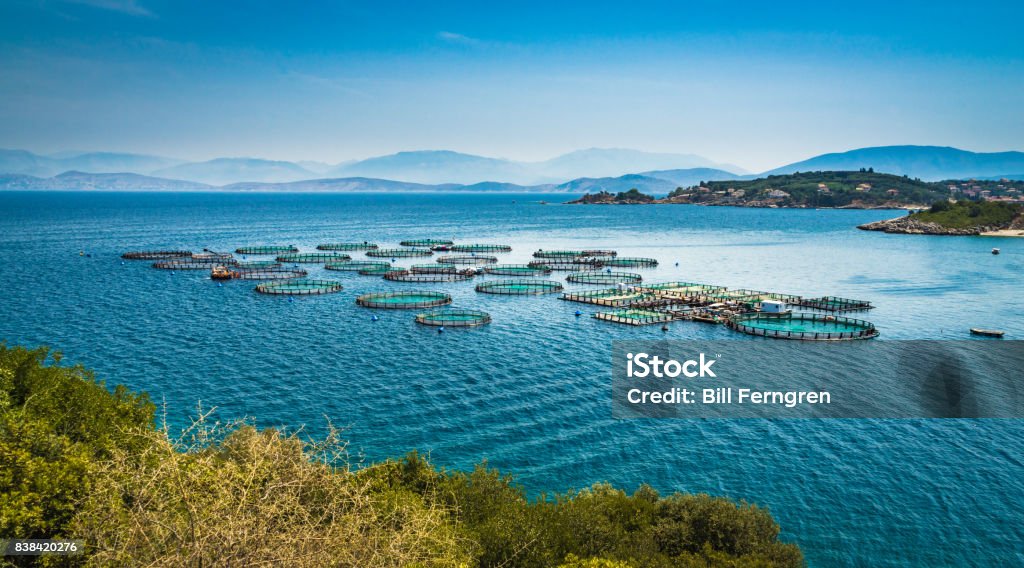 Corfu circles Fish farming in northern Corfu. Aquaculture Stock Photo