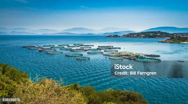 Corfu Circles Stock Photo - Download Image Now - Aquaculture, Fish Farm, Fishing Industry