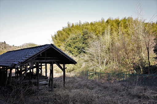 country hut - shack - shanty - hovel - cabin