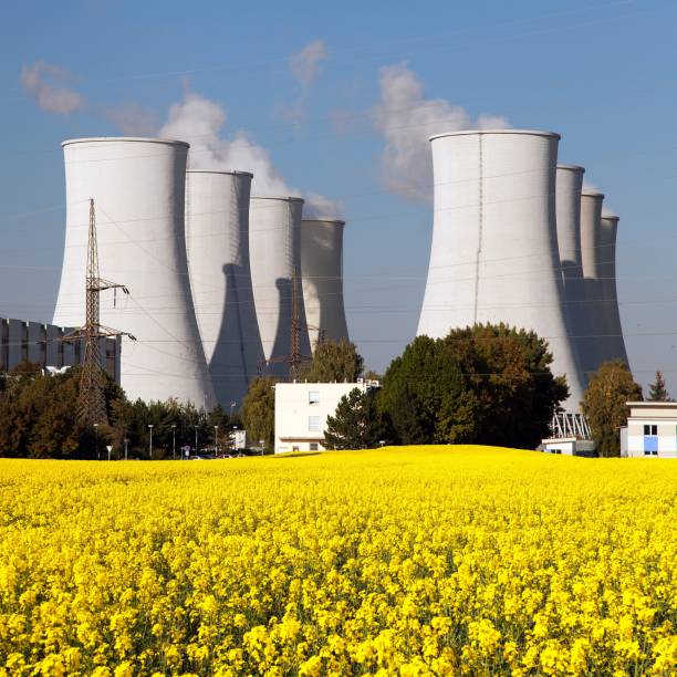 istock Nuclear power plant, cooling tower, field of rapeseed 838442412