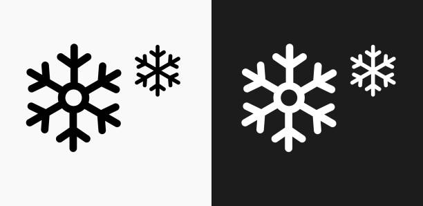 значок снежинки на черно-белом векторном фоне - snowflake stock illustrations