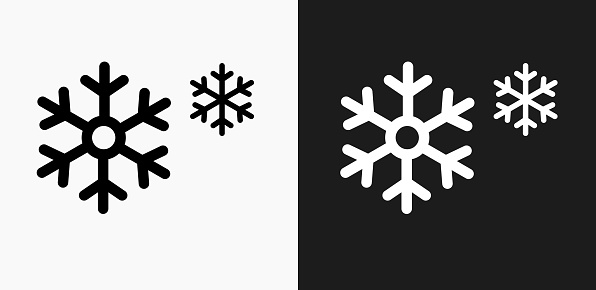 istock Snowflakes Icon on Black and White Vector Backgrounds 838447054
