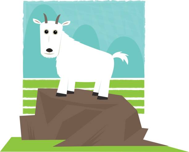 Mountain Goat Stock Illustration - Download Image Now - Mountain Goat,  Cartoon, Animal - iStock