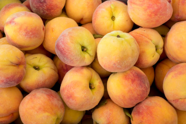 istock Crate of fresh ripe BC peaches 838454144