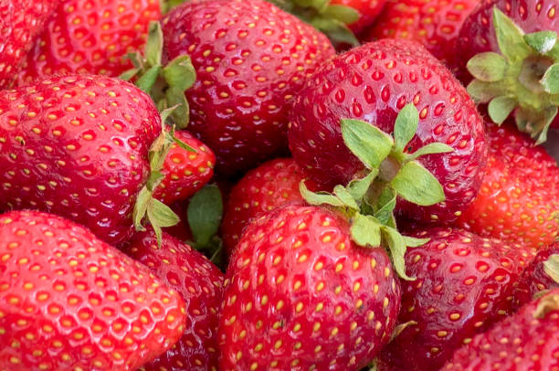 istock Close up of Fresh Red Strawberries 838454818