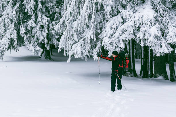 istock Traveler show right way in snow covered forest. 838454884