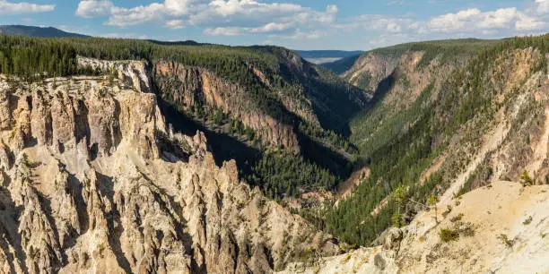Forested walls of the lower part of the Grand Canyon of the Yellowstone from the South Rim in Yellowstone National Park, Wyoming