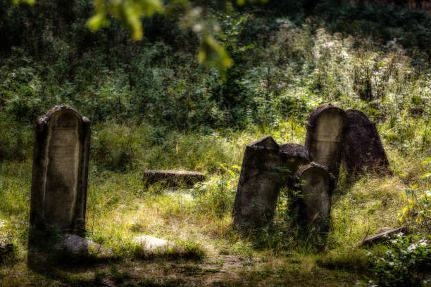 istock Old abandoned Jewish cemetery. (Blurred effect Illustration) 838458768