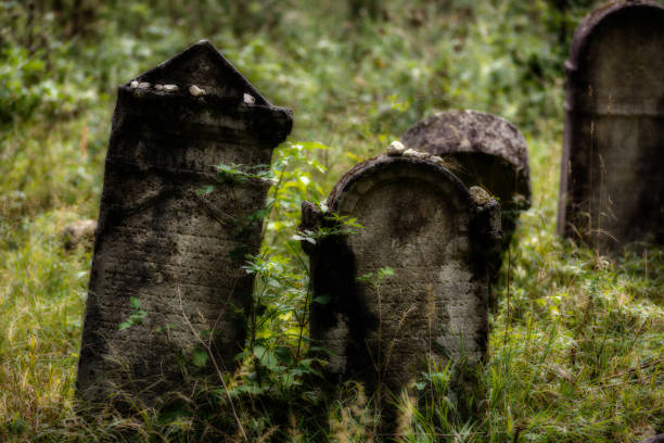 istock Old abandoned Jewish cemetery. (Blurred effect Illustration) 838458844