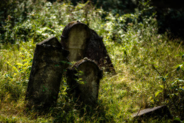 istock Old abandoned Jewish cemetery. (Blurred effect Illustration) 838459270