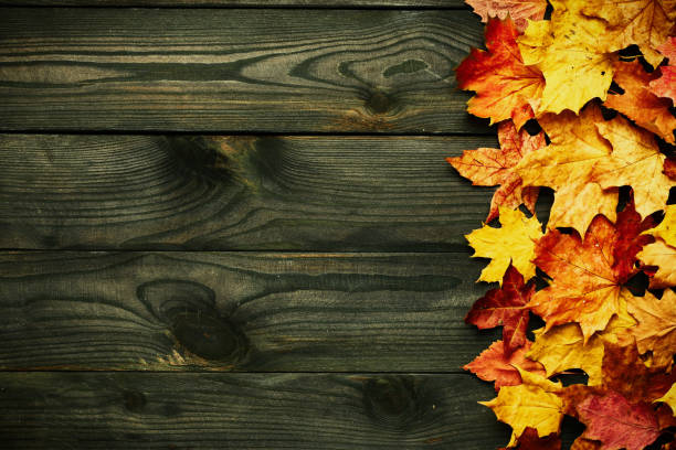 istock Wooden background with autumn leaves 838459462