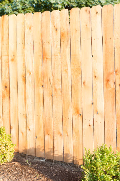 istock Golden Fence 838462344
