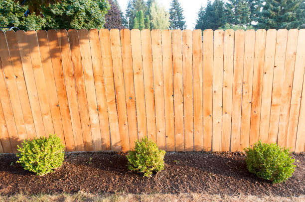 istock Golden Fence 838462366